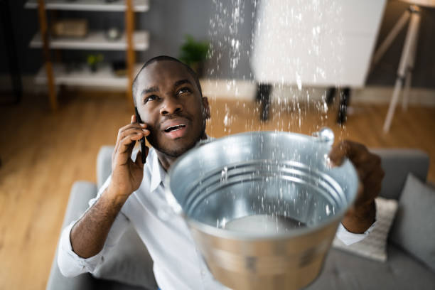 Best Local water damage restoration  in Lone Oak, TN
