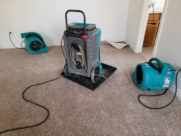 Best 24-hour water damage restoration  in Lone Oak, TN