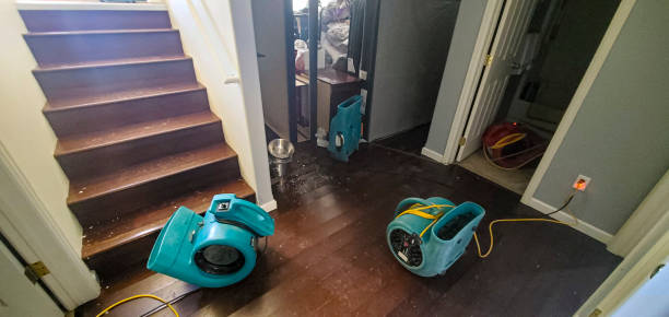 Best Ceiling water damage repair  in Lone Oak, TN