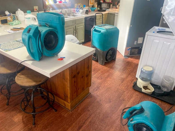 Best Fire Damage Restoration  in Lone Oak, TN