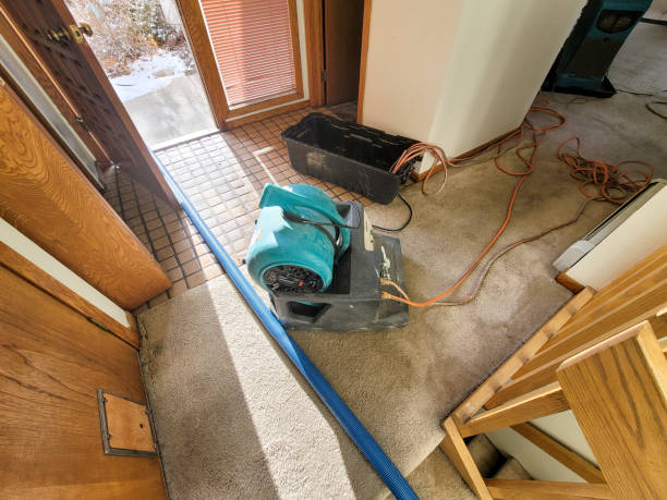 Best Residential water damage restoration  in Lone Oak, TN
