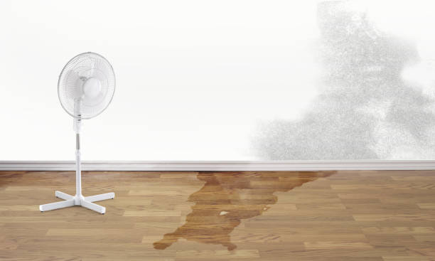  Lone Oak, TN Water damage restoration Pros