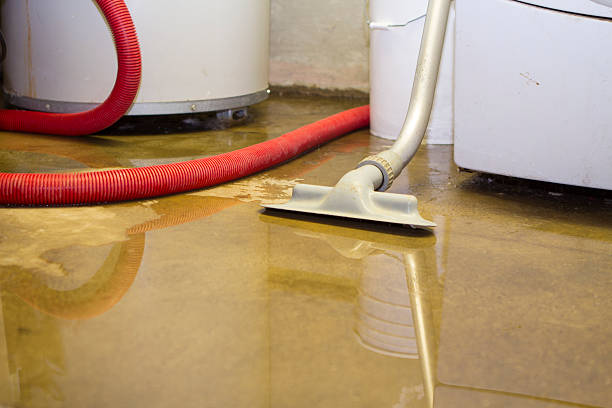 Professional Water damage restoration in TN