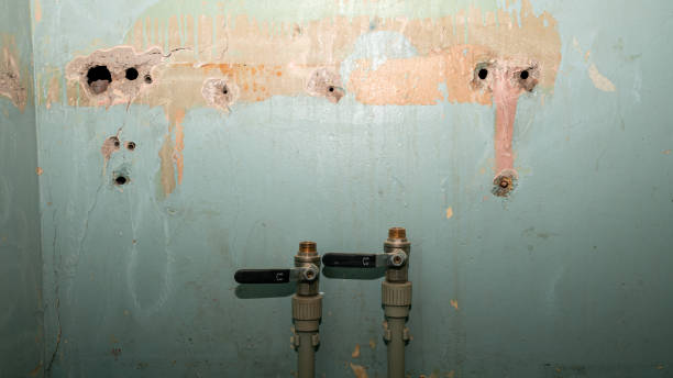 Best Local water damage restoration  in Lone Oak, TN
