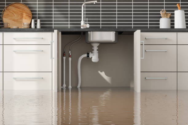 Best Water damage restoration near me  in Lone Oak, TN