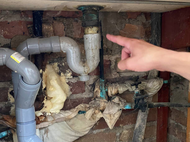 Best Water damage repair service  in Lone Oak, TN