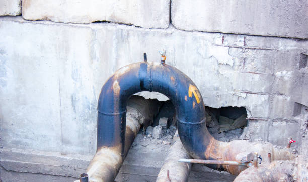 Best Flood restoration services  in Lone Oak, TN