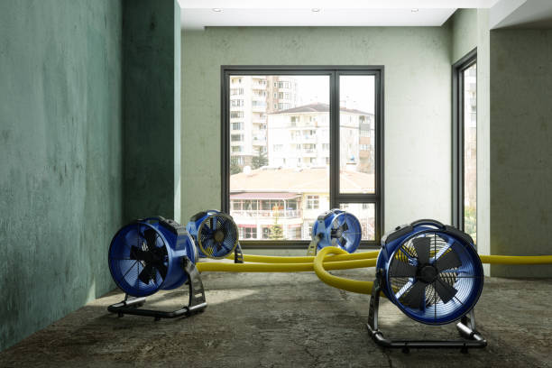 Best Ceiling water damage repair  in Lone Oak, TN