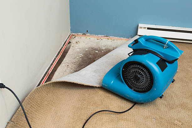 Best Basement water damage restoration  in Lone Oak, TN
